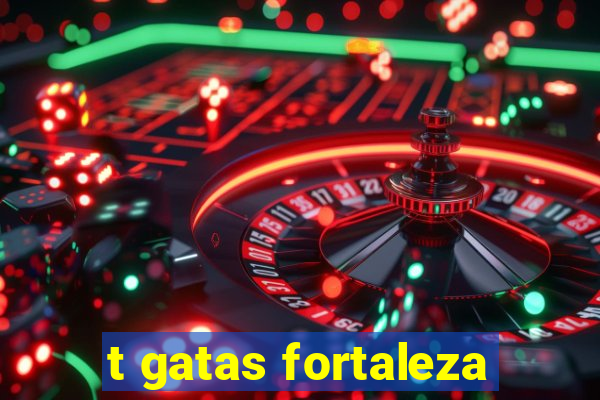 t gatas fortaleza